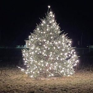 Meet your Posher, Brian n emma